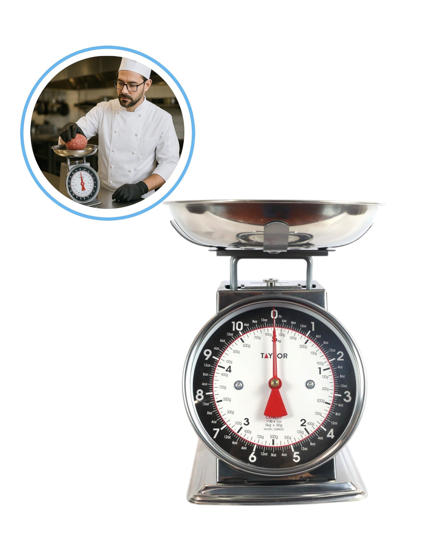 Báscula Mecánica Profesional Taylor 5 kg / 11 lb – Acero Inoxidable