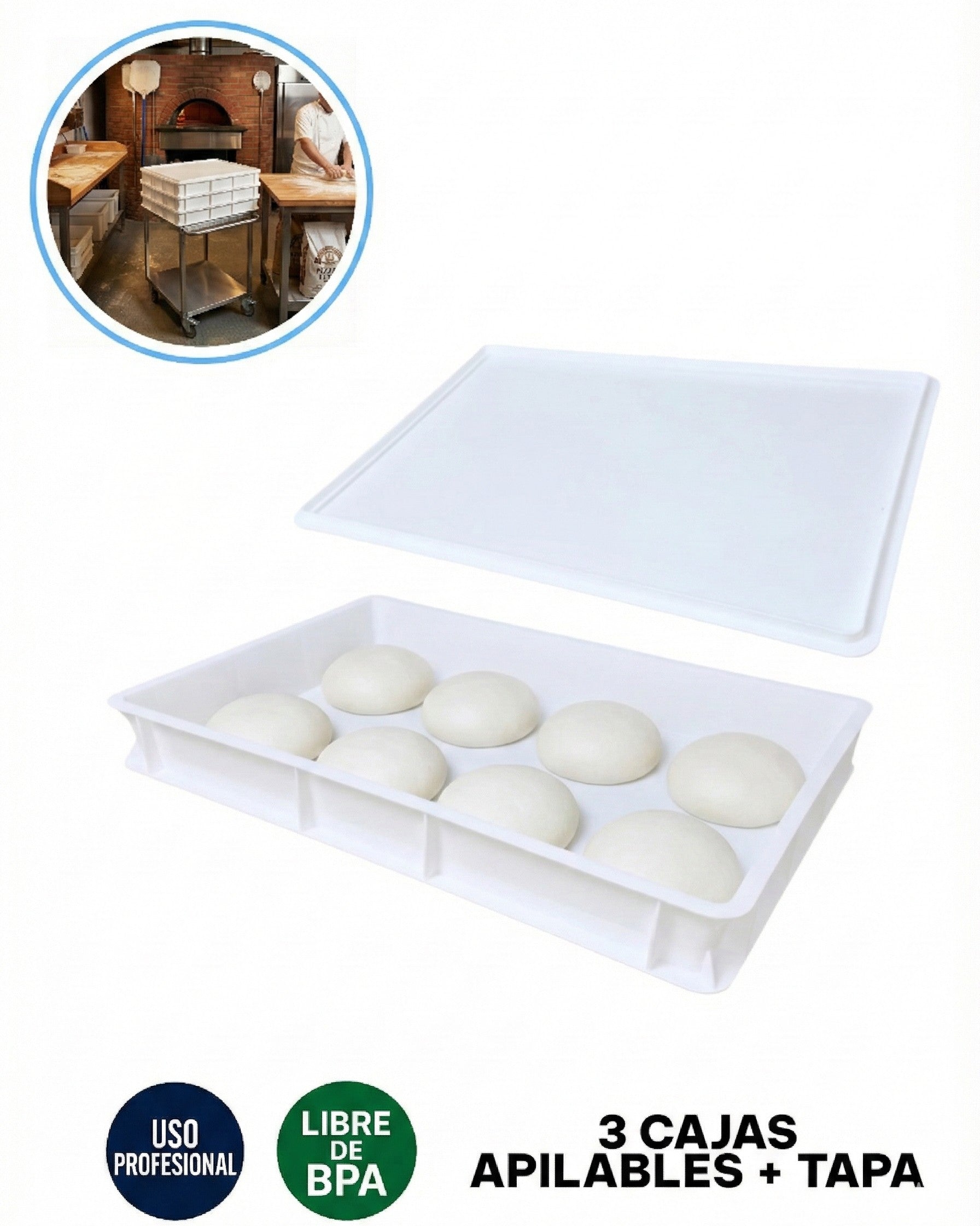 Caja de fermentación de masa pizza 60x40 con bolas de masa leudando